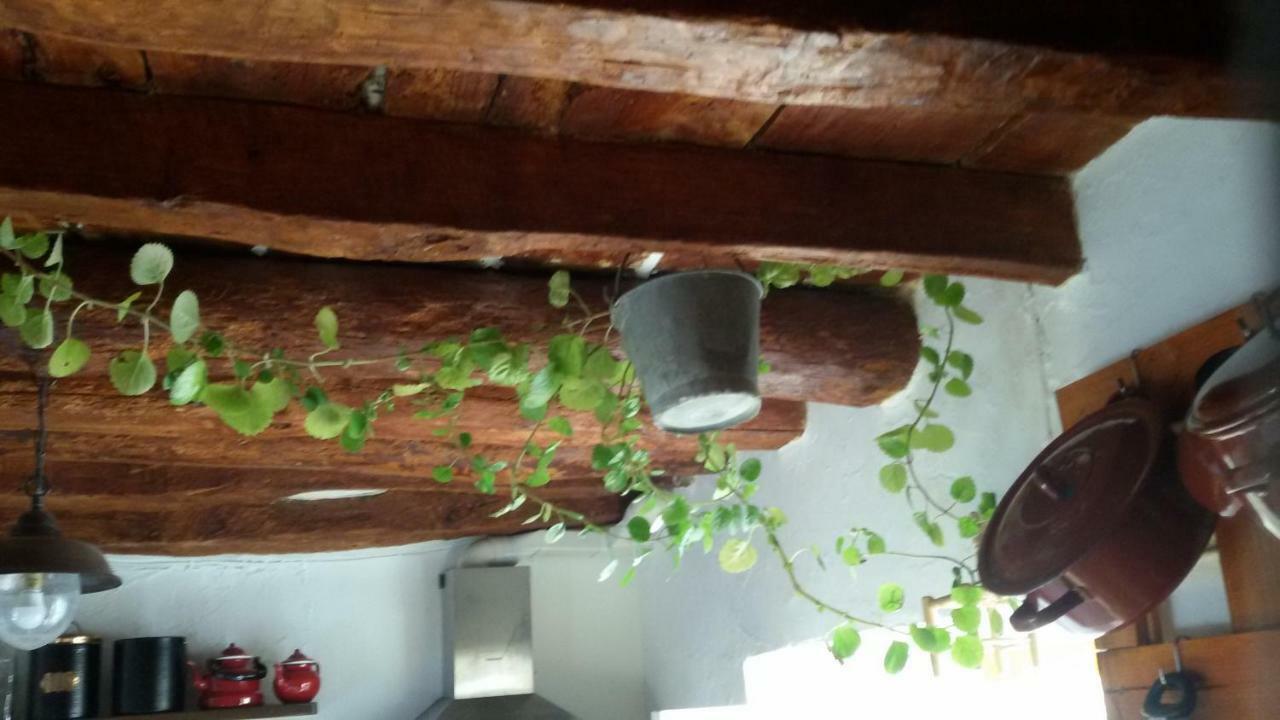 La Casa De La Acequia Guest House Seron Luaran gambar